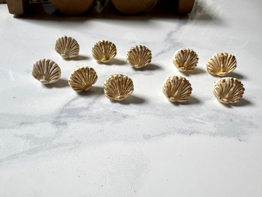 Sea Shell Studs