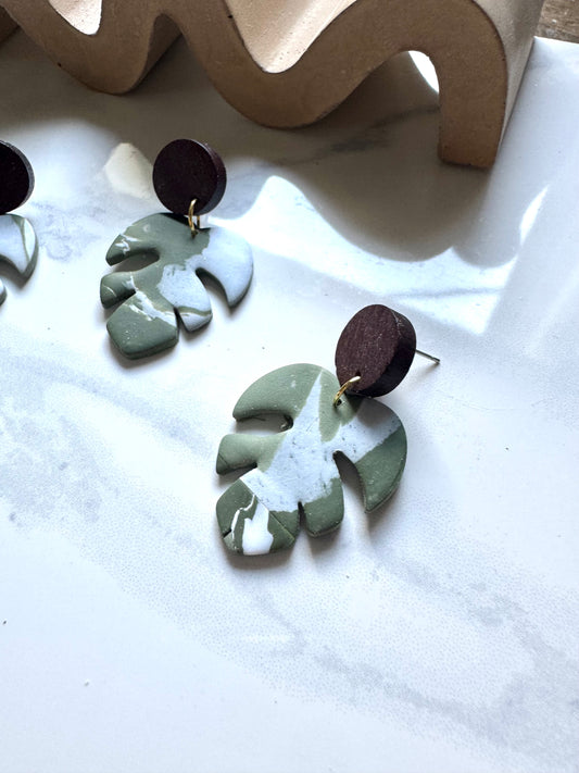 Variegated Monstera Dangles