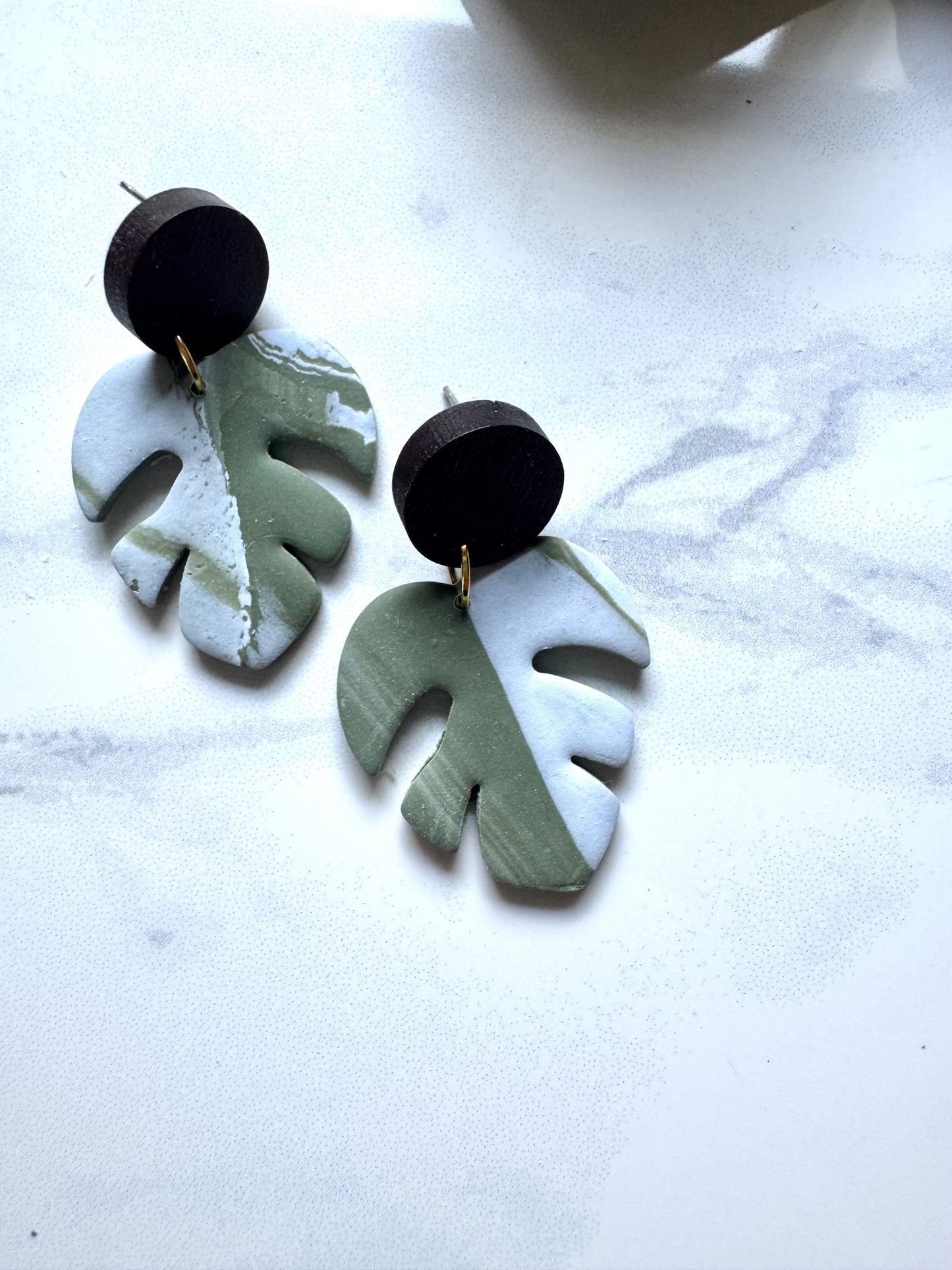 Variegated Monstera Dangles