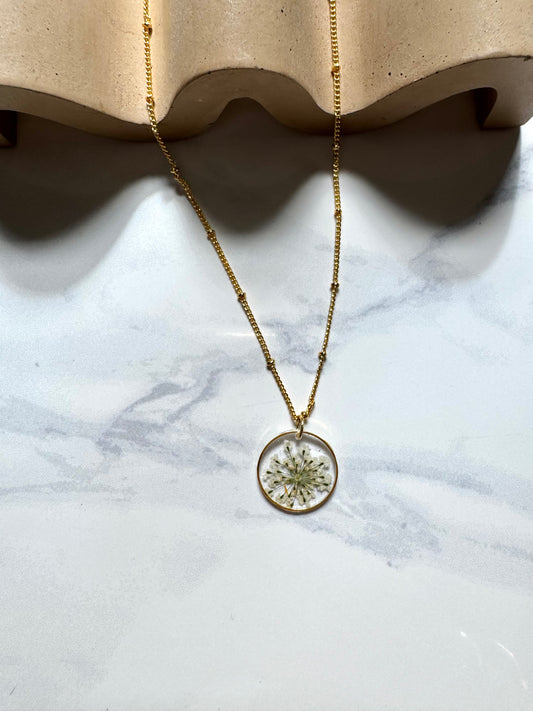 White Lace Flower Circle